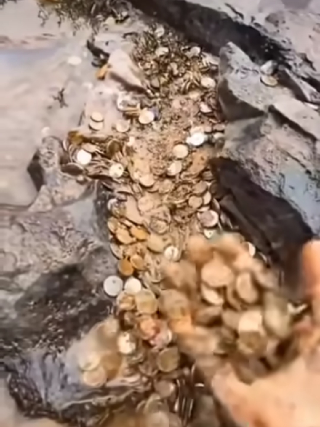 ESCÁNDALO AMBIENTAL EN IGUAZÚ