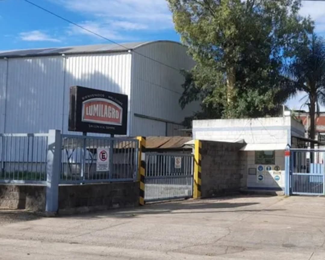 LUMILAGRO se reinventa, importa y abre locales 