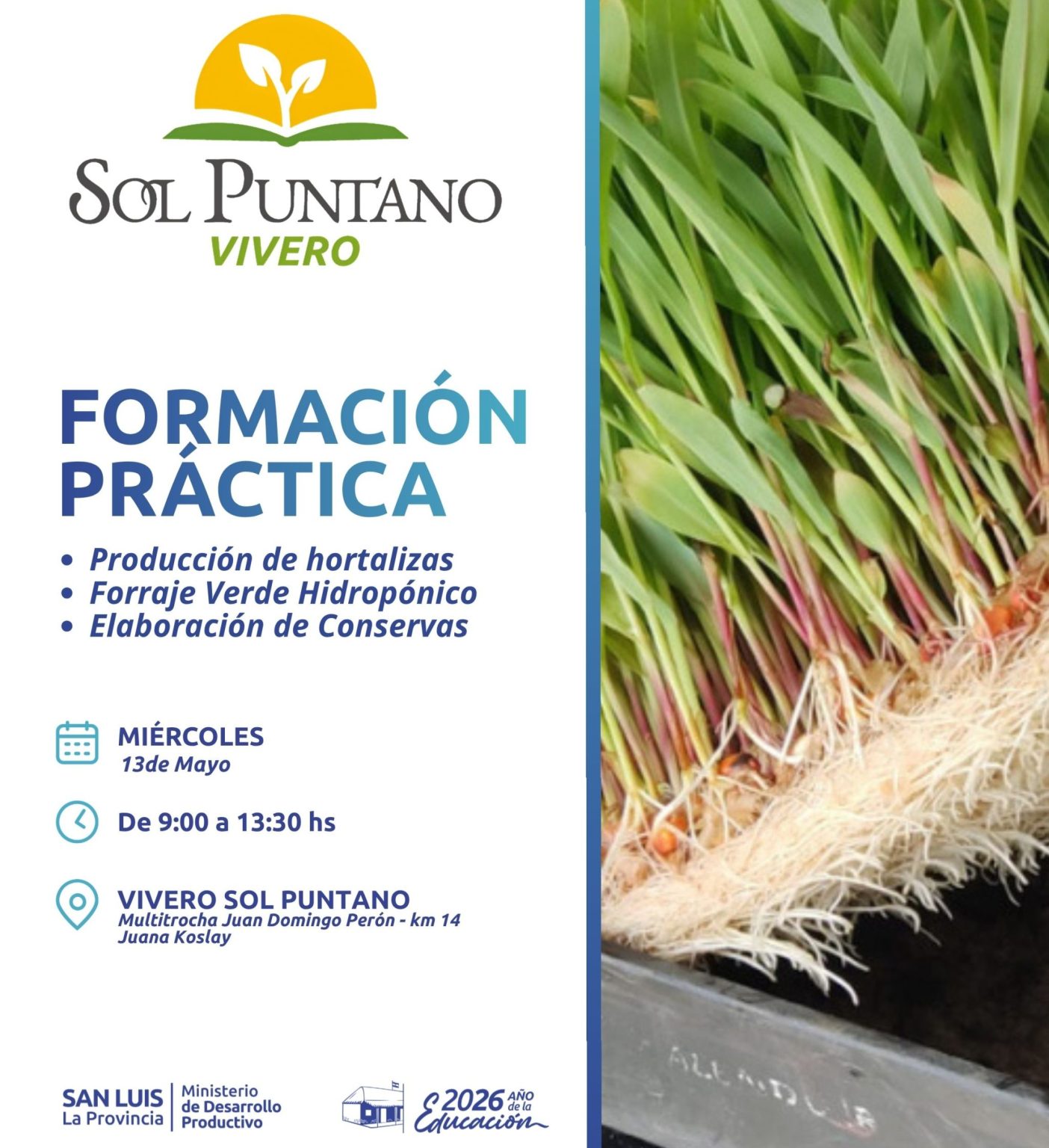 Sol Puntano brindará una capacitación sobre producción hortícola y elaboración de conservas