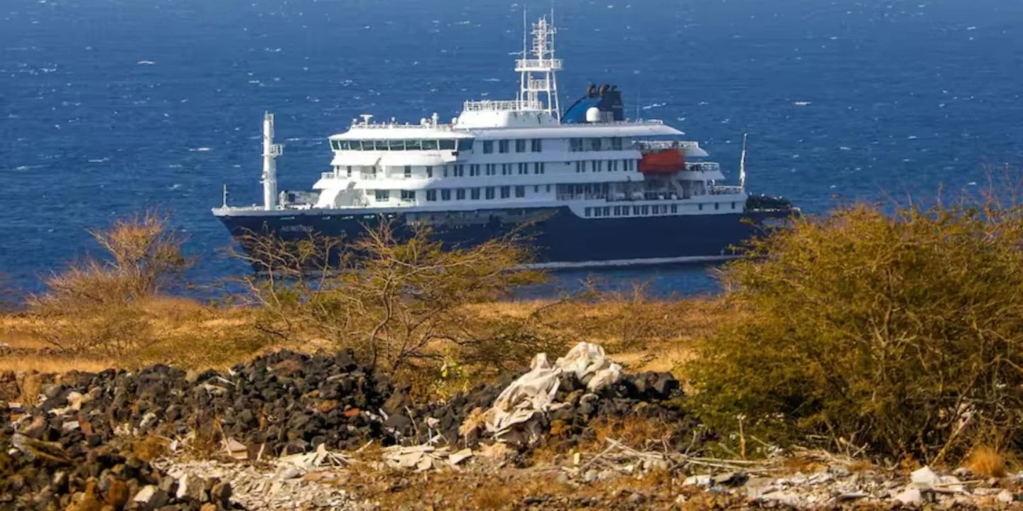 El Gobierno descartó volver a la OMS y aseguró que “defenderá su soberanía nacional”