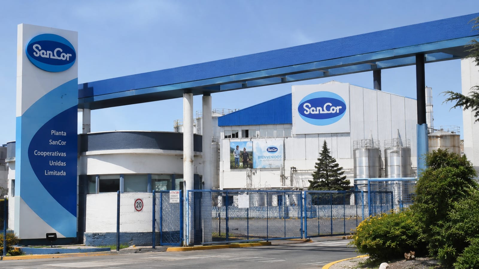 SanCor busca comprador: la histórica cooperativa láctea sale a la venta por US$52 millones