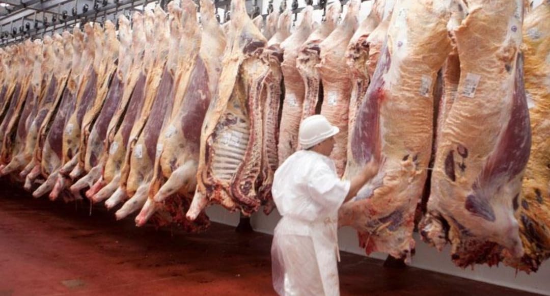 El consumo de carne vacuna cayó un 11% en el primer semestre de 2026