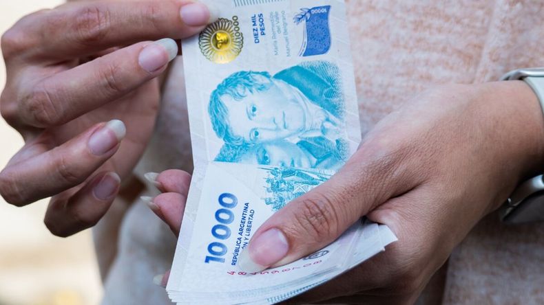 El ingreso disponible cayó 16,5% frente a 2023