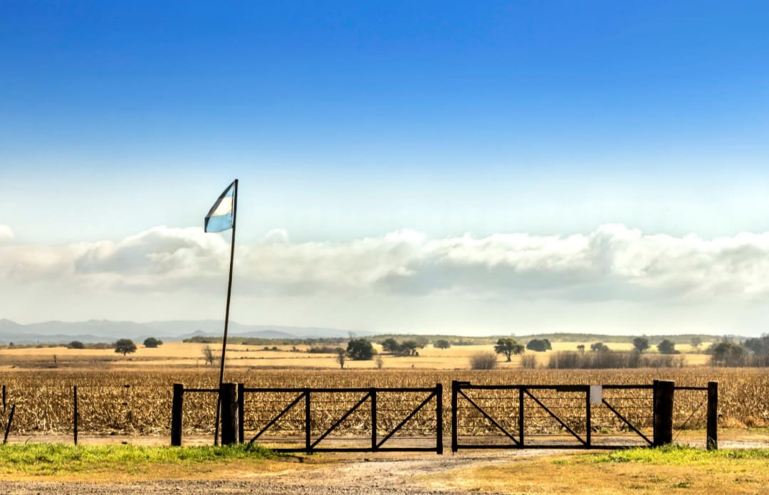 Ley de Tierras: el Gobierno cede y propone elevar del 15% al 25% el límite de tierras rurales en manos extranjeras
