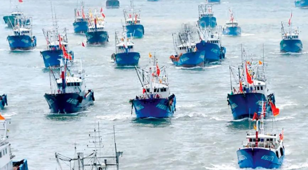Multas récord, pero los buques chinos siguen pescando