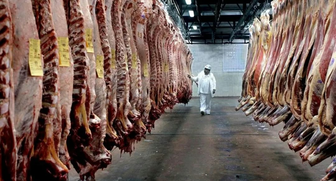 Trump habilitó un nuevo cupo de 300.000 toneladas de carne y Argentina quedó afuera