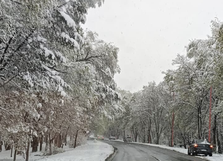 ¡Sorpresa blanca en la provincia! Una nevada atípica regaló postales únicas a días de la primavera