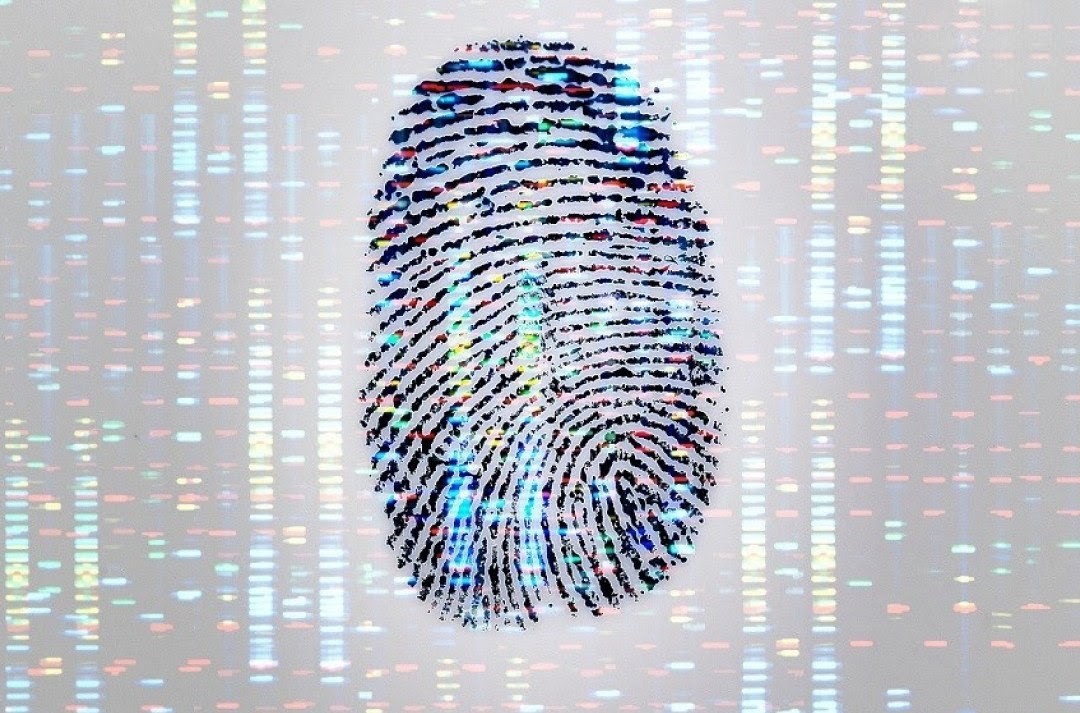 SAN LUIS AVANZA CON UN NUEVO REGISTRO DE HUELLAS GENÉTICAS: BUSCAN AGILIZAR INVESTIGACIONES Y RESOLVER DELITOS